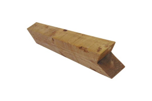 bird_beak_post_916867883