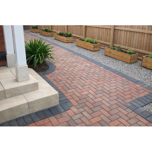 50mm-brindle-10_2_25-2