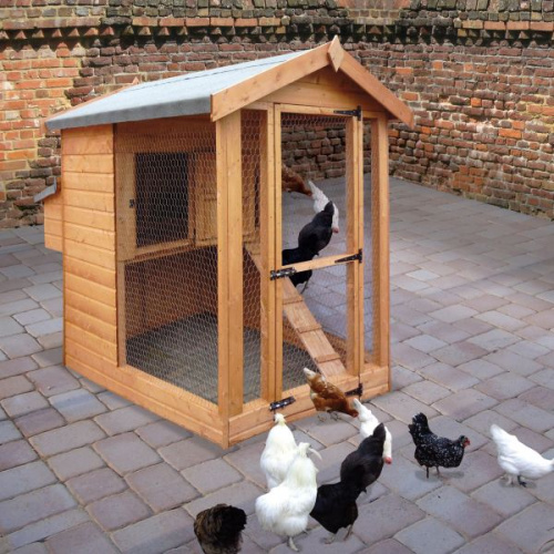 henhouse