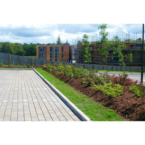 scotbarkuk_ornamentalbarkchips_1435663314ornamnetnal3