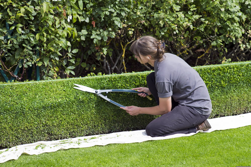 Six Jobs Every Gardener Should Do Before Autumn Arrives